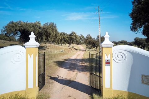 Masia a Monforte, Portalegre, Monforte - € 3.200.000 | Ref: EXP_1390 - foto 7