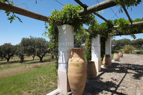 Masia a Monforte, Portalegre, Monforte - € 3.200.000 | Ref: EXP_1390 - foto 18