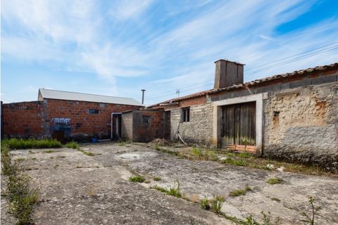 Villa i Paiao, Coimbra, Paiao - € 169.000 | Ref: FFMJ 6265 - foto 22
