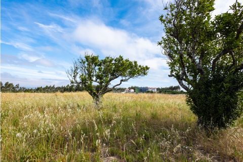 Villa i Paiao, Coimbra, Paiao - € 169.000 | Ref: FFMJ 6265 - foto 26