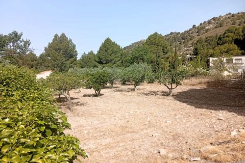 Landejendom i Petrer, Alicante, Petrer - € 250.000 | Ref: P5522 - foto 19