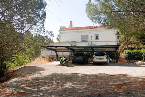 Landejendom i Petrer, Alicante, Petrer - € 250.000 | Ref: P5522 - foto 22