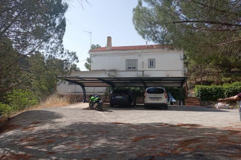 Landejendom i Petrer, Alicante, Petrer - € 250.000 | Ref: P5522 - foto 23