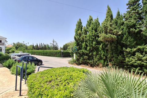Leilighet i Torrevieja, Alicante, Torrevieja - € 118 000 | Ref: P9192 - foto 19