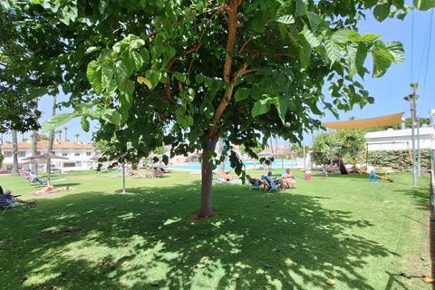 Leilighet i Torrevieja, Alicante, Torrevieja - € 118 000 | Ref: P9192 - foto 26