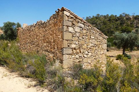 Finca i Maella, Zaragoza, Maella - € 37 000 | Ref: 1128 - foto 26