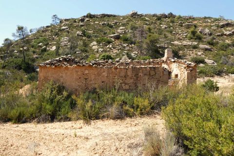 Finca i Maella, Zaragoza, Maella - € 37 000 | Ref: 1128 - foto 29