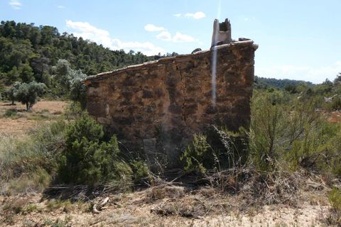Finca i Maella, Zaragoza, Maella - € 37 000 | Ref: 1128 - foto 28