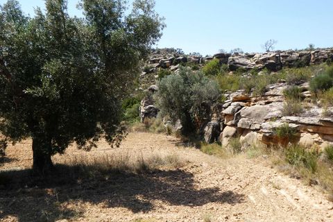 Finca i Maella, Zaragoza, Maella - € 37 000 | Ref: 1128 - foto 18
