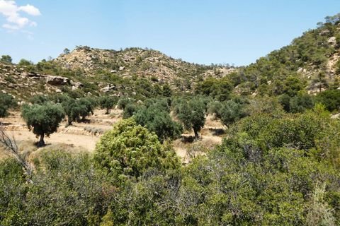 Finca i Maella, Zaragoza, Maella - € 37 000 | Ref: 1128 - foto 21