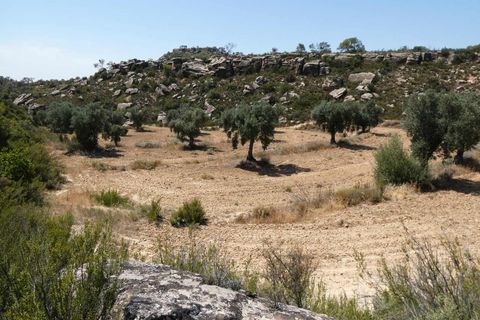 Finca i Maella, Zaragoza, Maella - € 37 000 | Ref: 1128 - foto 22