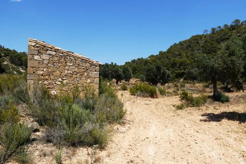 Finca i Maella, Zaragoza, Maella - € 37 000 | Ref: 1128 - foto 24