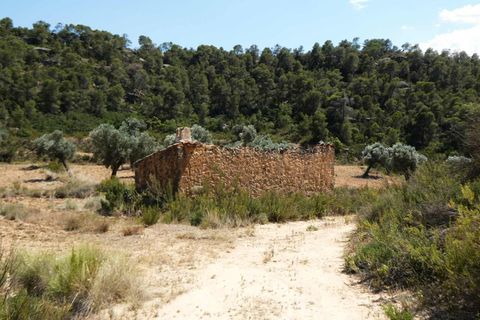 Finca i Maella, Zaragoza, Maella - € 37 000 | Ref: 1128 - foto 31
