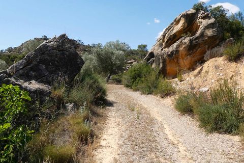 Finca i Maella, Zaragoza, Maella - € 37 000 | Ref: 1128 - foto 6
