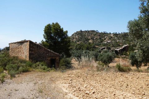 Finca i Maella, Zaragoza, Maella - € 37 000 | Ref: 1128 - foto 17