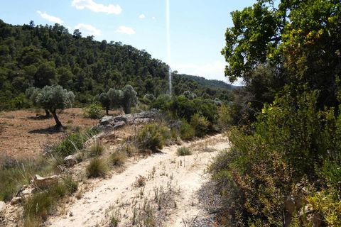 Finca i Maella, Zaragoza, Maella - € 37 000 | Ref: 1128 - foto 32
