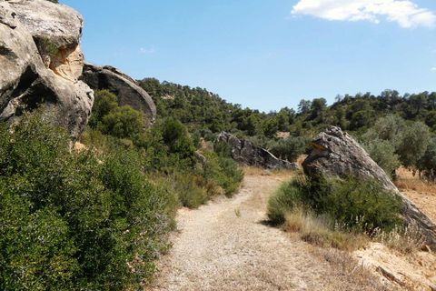 Finca i Maella, Zaragoza, Maella - € 37 000 | Ref: 1128 - foto 3