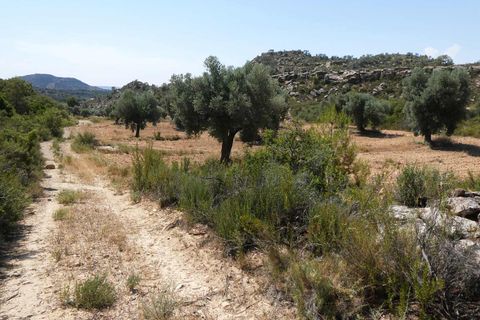 Finca i Maella, Zaragoza, Maella - € 37 000 | Ref: 1128 - foto 33