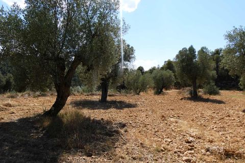 Finca i Maella, Zaragoza, Maella - € 37 000 | Ref: 1128 - foto 34