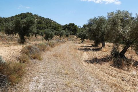 Finca i Maella, Zaragoza, Maella - € 37 000 | Ref: 1128 - foto 8
