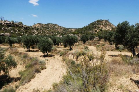 Finca i Maella, Zaragoza, Maella - € 37 000 | Ref: 1128 - foto 10