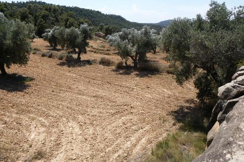 Finca i Maella, Zaragoza, Maella - € 37 000 | Ref: 1128 - foto 19