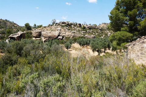 Finca i Maella, Zaragoza, Maella - € 37 000 | Ref: 1128 - foto 16