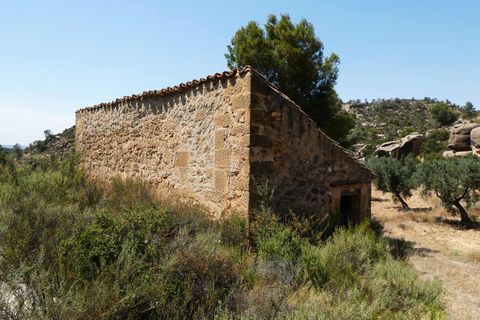 Finca i Maella, Zaragoza, Maella - € 37 000 | Ref: 1128 - foto 12