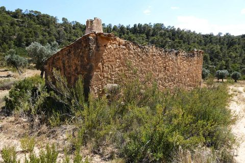 Finca i Maella, Zaragoza, Maella - € 37 000 | Ref: 1128 - foto 27