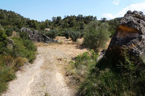 Finca i Maella, Zaragoza, Maella - € 37 000 | Ref: 1128 - foto 7