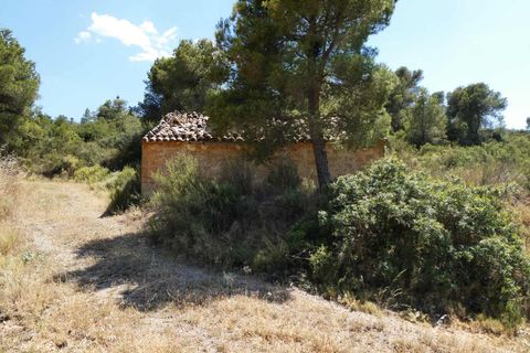 Finca i Maella, Zaragoza, Maella - € 37 000 | Ref: 1128 - foto 9