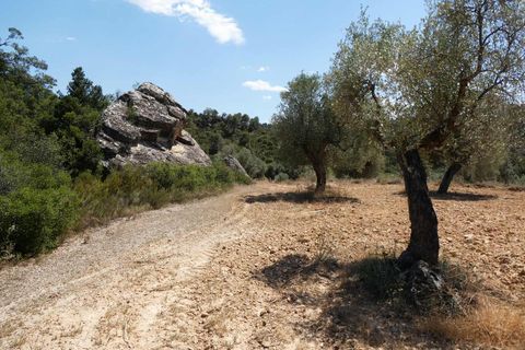 Finca i Maella, Zaragoza, Maella - € 37 000 | Ref: 1128 - foto 2