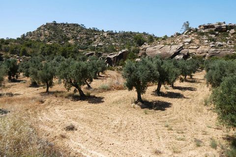 Finca i Maella, Zaragoza, Maella - € 37 000 | Ref: 1128 - foto 11