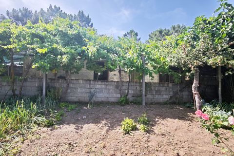 Masia a Braga, Braga, Braga - € 175.000 | Ref: REF22062026 - foto 43