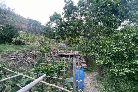Villa i Messina, Messina, Messina - € 290.000 | Ref: 0618/1914 - foto 34
