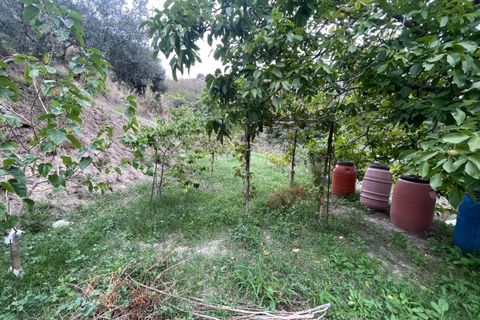 Villa i Messina, Messina, Messina - € 290.000 | Ref: 0618/1914 - foto 39