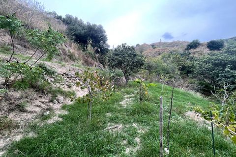 Villa i Messina, Messina, Messina - € 290.000 | Ref: 0618/1914 - foto 40