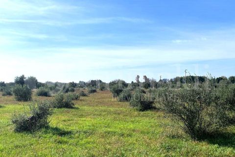Villa i Tuglie, Lecce, Tuglie - € 300.000 | Ref: 300tuglie - foto 18