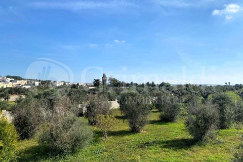 Villa i Tuglie, Lecce, Tuglie - € 300.000 | Ref: 300tuglie - foto 24