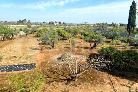 Villa i Gallipoli, Lecce, Gallipoli - € 350 000 | Ref: 350rustico - foto 3