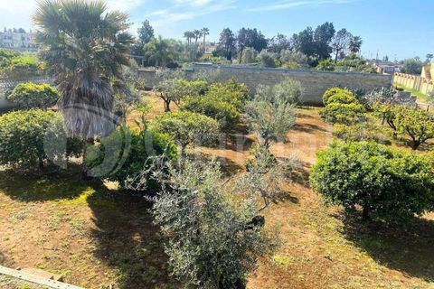 Villa i Gallipoli, Lecce, Gallipoli - € 350 000 | Ref: 350rustico - foto 5