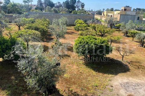 Villa i Gallipoli, Lecce, Gallipoli - € 350 000 | Ref: 350rustico - foto 7