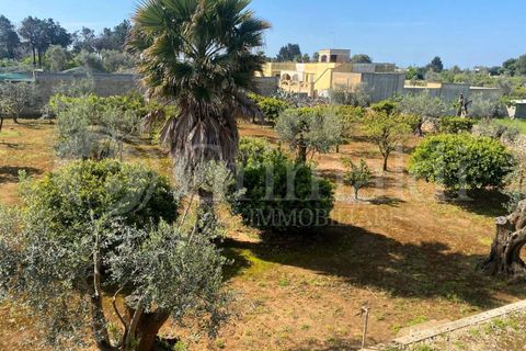 Villa i Gallipoli, Lecce, Gallipoli - € 350 000 | Ref: 350rustico - foto 9