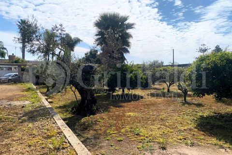 Villa i Gallipoli, Lecce, Gallipoli - € 350 000 | Ref: 350rustico - foto 12