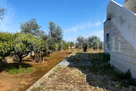 Villa i Gallipoli, Lecce, Gallipoli - € 350 000 | Ref: 350rustico - foto 13