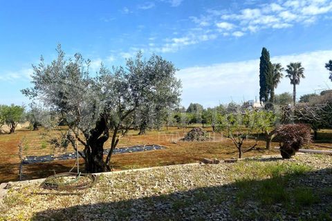 Villa i Gallipoli, Lecce, Gallipoli - € 350 000 | Ref: 350rustico - foto 14