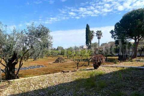 Villa i Gallipoli, Lecce, Gallipoli - € 350 000 | Ref: 350rustico - foto 15