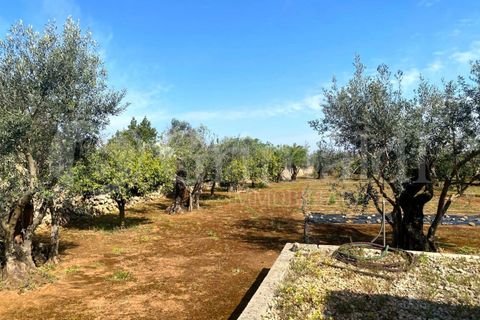 Villa i Gallipoli, Lecce, Gallipoli - € 350 000 | Ref: 350rustico - foto 16