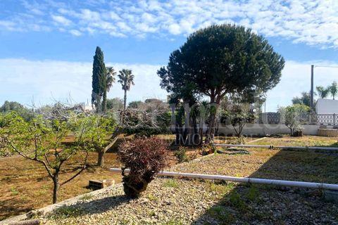 Villa i Gallipoli, Lecce, Gallipoli - € 350 000 | Ref: 350rustico - foto 17