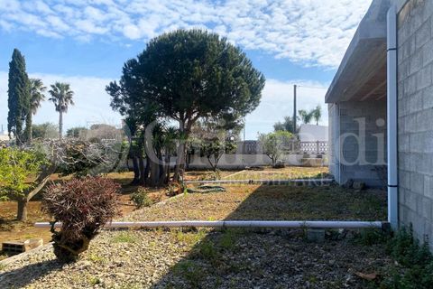 Villa i Gallipoli, Lecce, Gallipoli - € 350 000 | Ref: 350rustico - foto 18